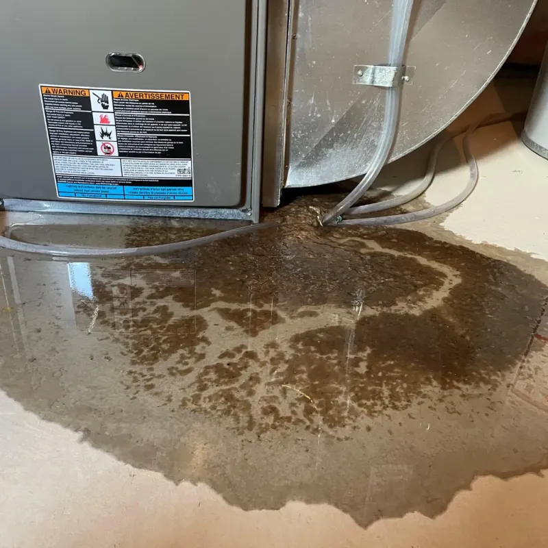 Appliance Leak Cleanup in Mesquite, TX